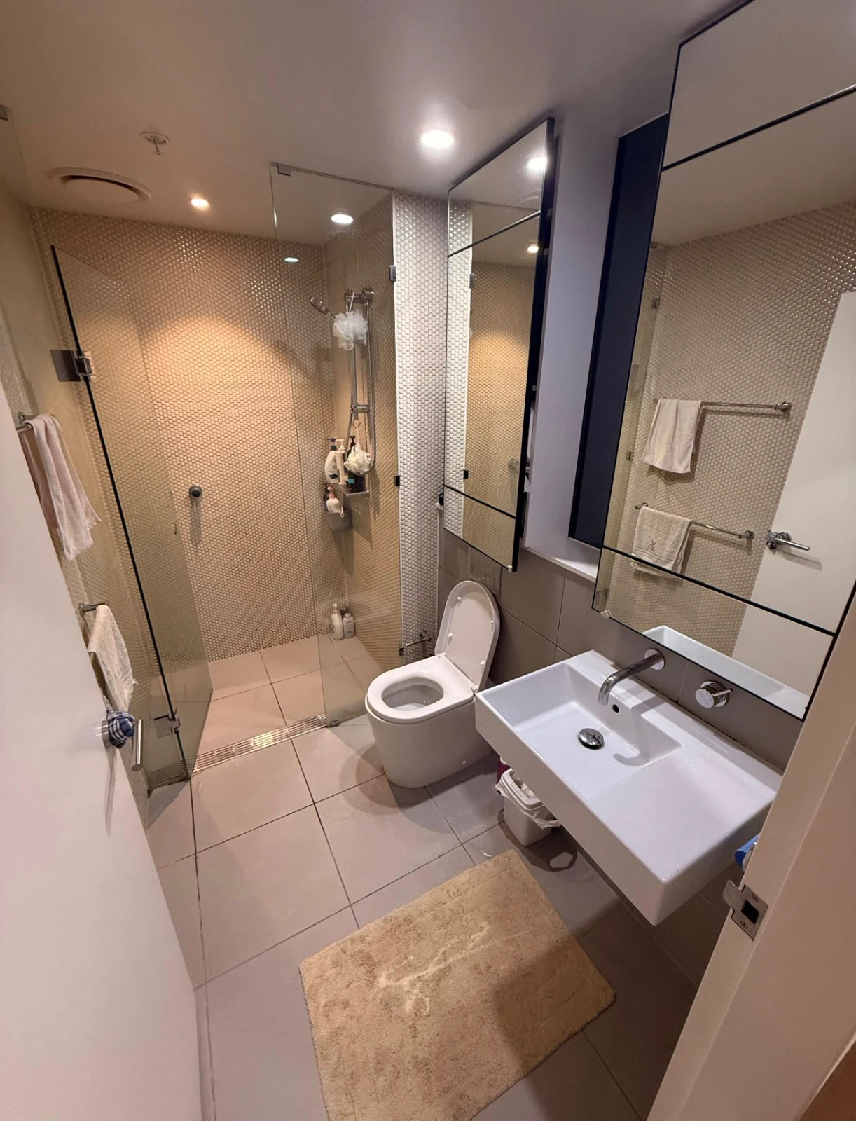 🏡[시드니 CBD 시티 헤이마켓]9월 15일부터 여성전용 쉐어룸 입주 가능! 주230$🏡