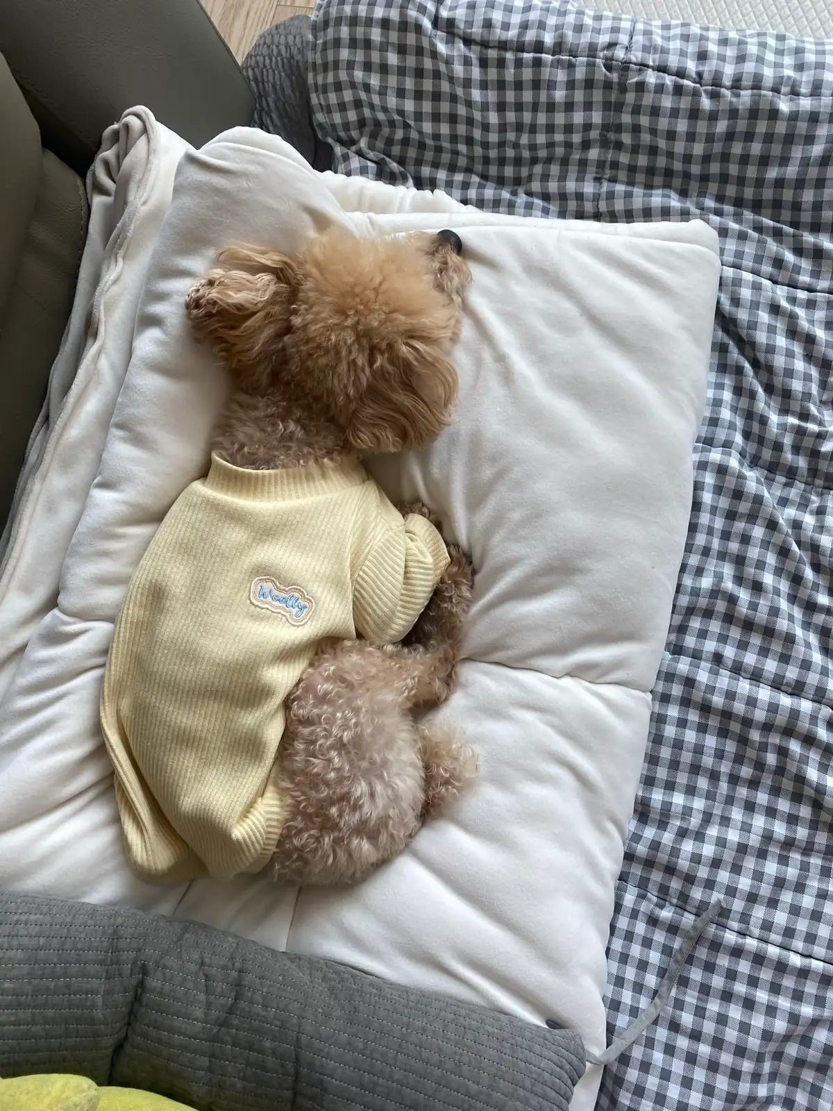 3월1일부터 3월 6일까지 시티 근처로 단기 쉐어 구합니다