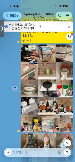 시드니 귀국 정리 웬포 로즈