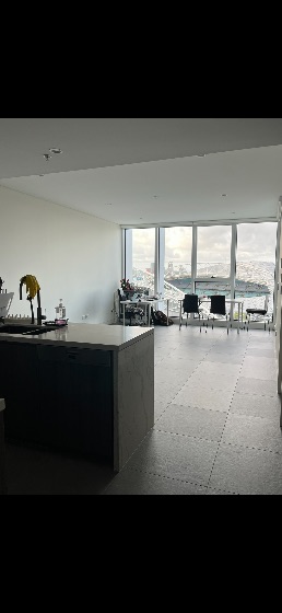 올림픽파크 아파트 마스터룸 여성 (2인 $550, 인당 $275)