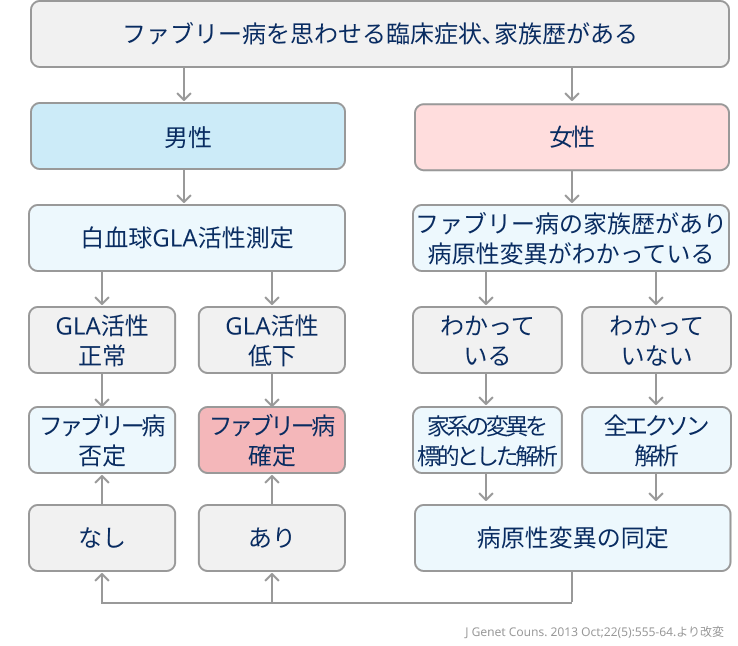 原因不明の心肥大､小児期の燃えるような四肢末端痛で想起すべき疾患 ~ファブリー病まとめ~ ¹⁾