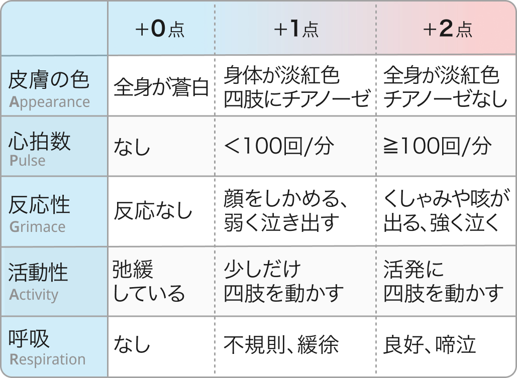 APGARスコア