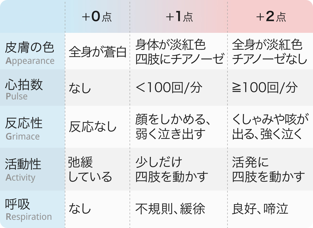 APGARスコア