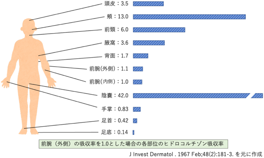 ステロイド外用薬の相対的力価