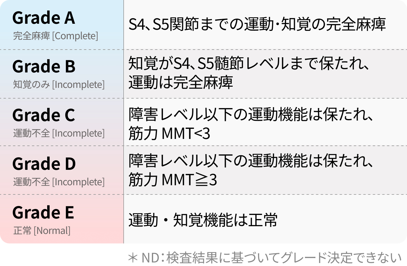 ASIA分類 / ASIA機能障害尺度 (AIS)