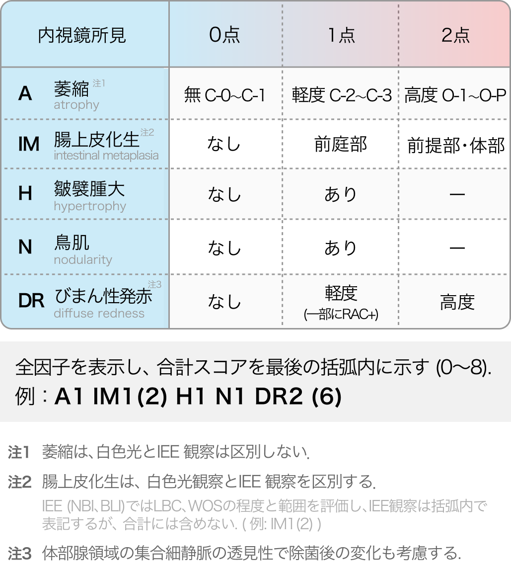胃がんリスクの内視鏡所見スコア