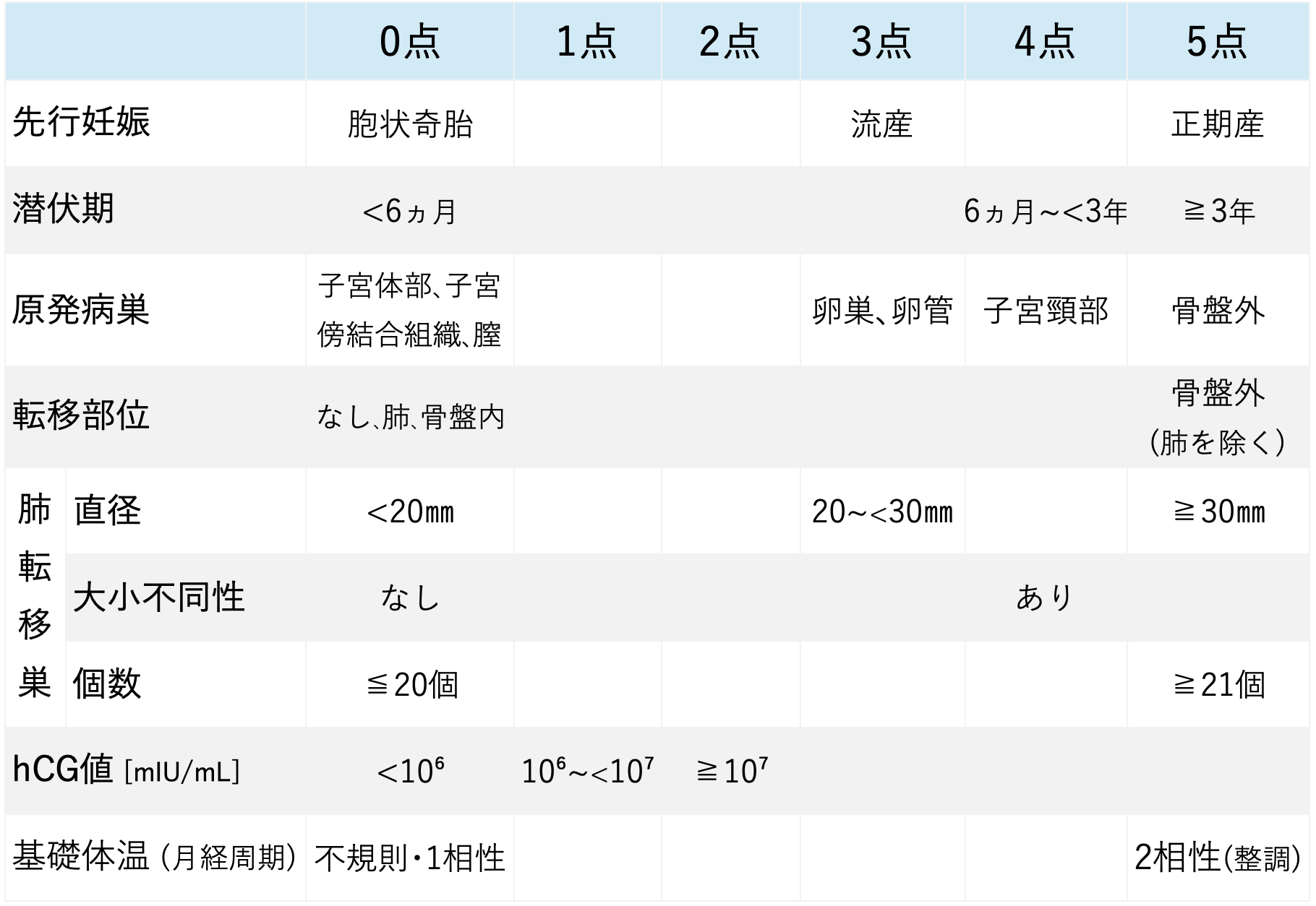 絨毛癌診断スコア