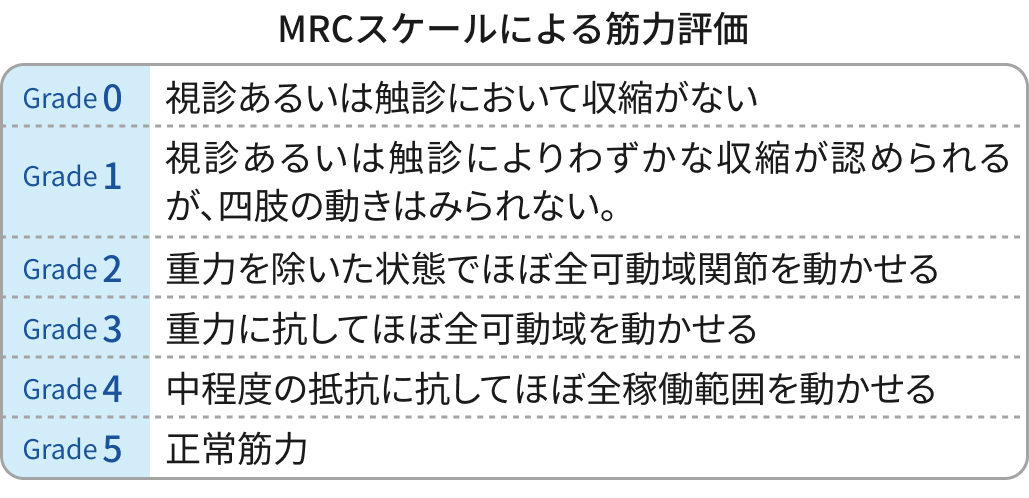 MRCスケールによる筋力評価