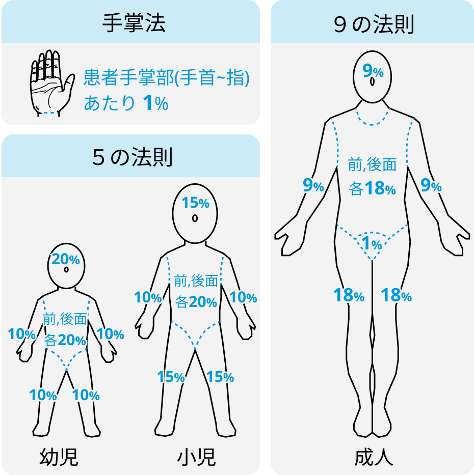 熱傷面積･皮膚面積の算出方法