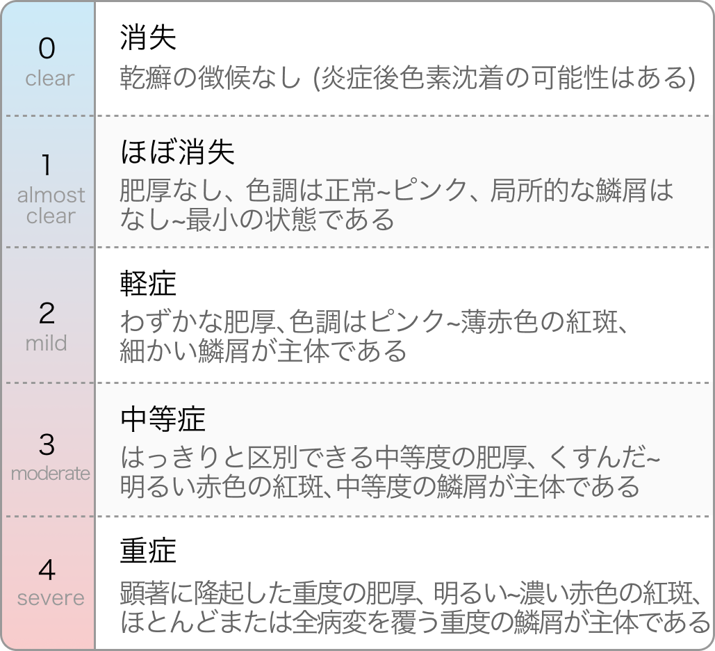 IGAスコア 2011年修正版 (乾癬)