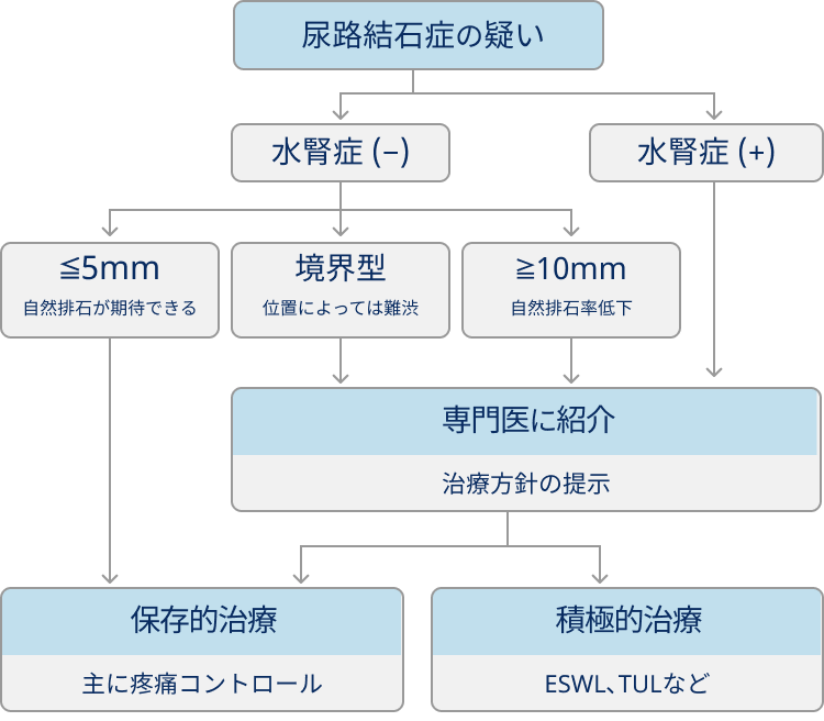 【尿路結石症】診断と治療､ どんな患者で専門的治療が必要？