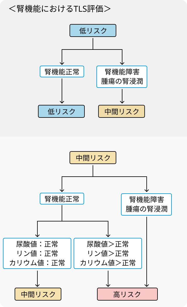 腫瘍崩壊症候群 (TLS)