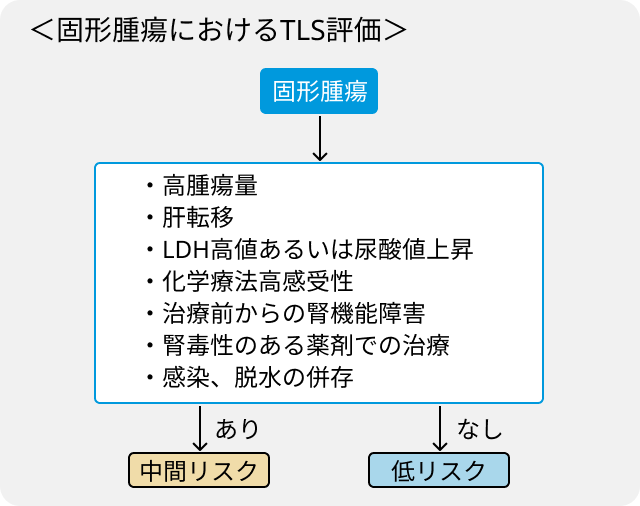 腫瘍崩壊症候群 (TLS)