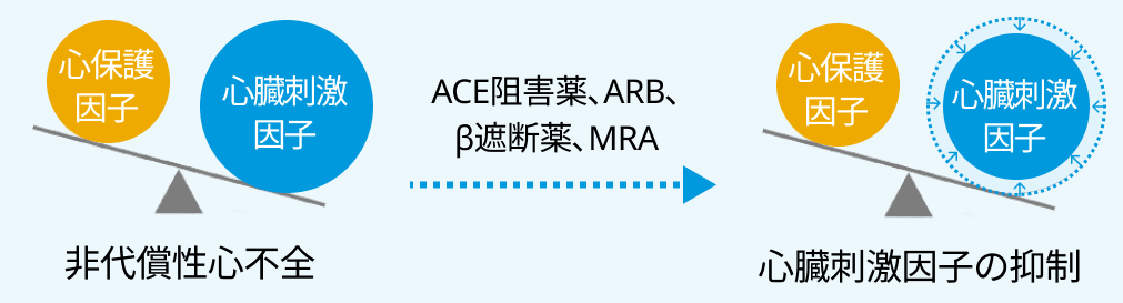 慢性心不全患者における「エンレスト®︎」という選択肢 ー2つの作用を有する単一の複合体ー
