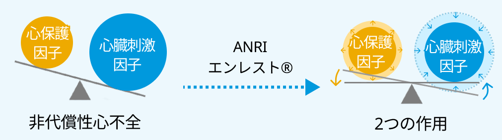 慢性心不全患者における「エンレスト®︎」という選択肢 ー2つの作用を有する単一の複合体ー