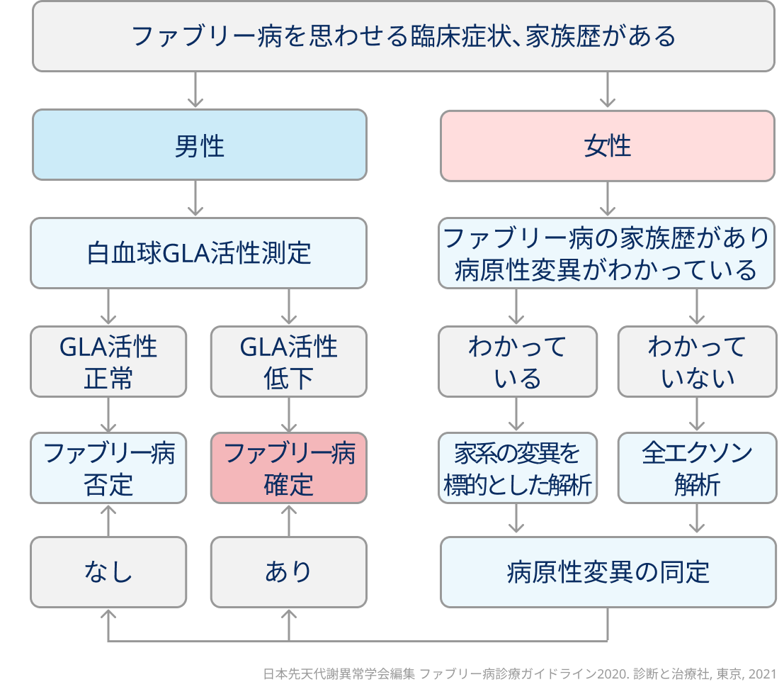 原因不明の心肥大､小児期の燃えるような四肢末端痛で想起すべき疾患 ~ファブリー病まとめ~