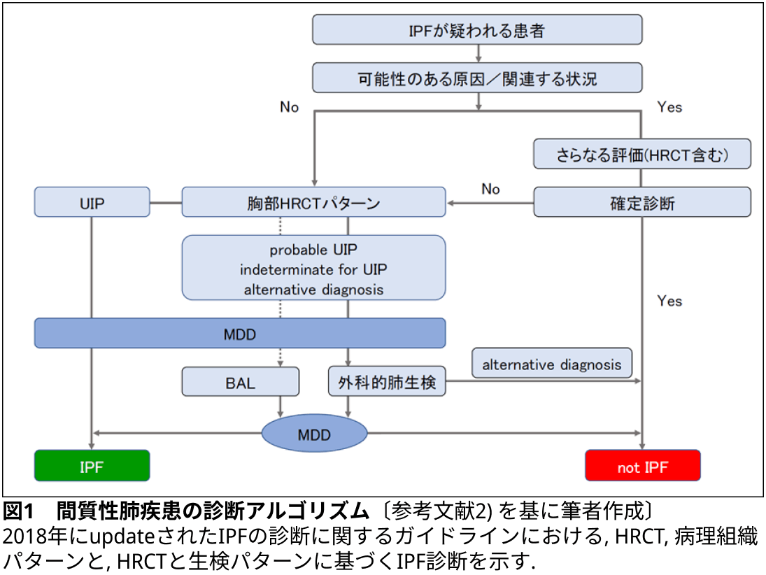 【間質性肺疾患】後期研修医のための呼吸器内科現場診療（日赤医療センター呼吸器内科副部長 猪俣稔先生）