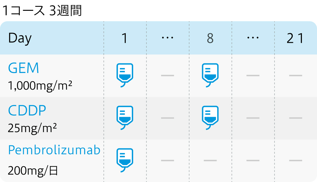 【KEYNOTE-966試験】胆道癌に対するペムブロリズマブ+GC