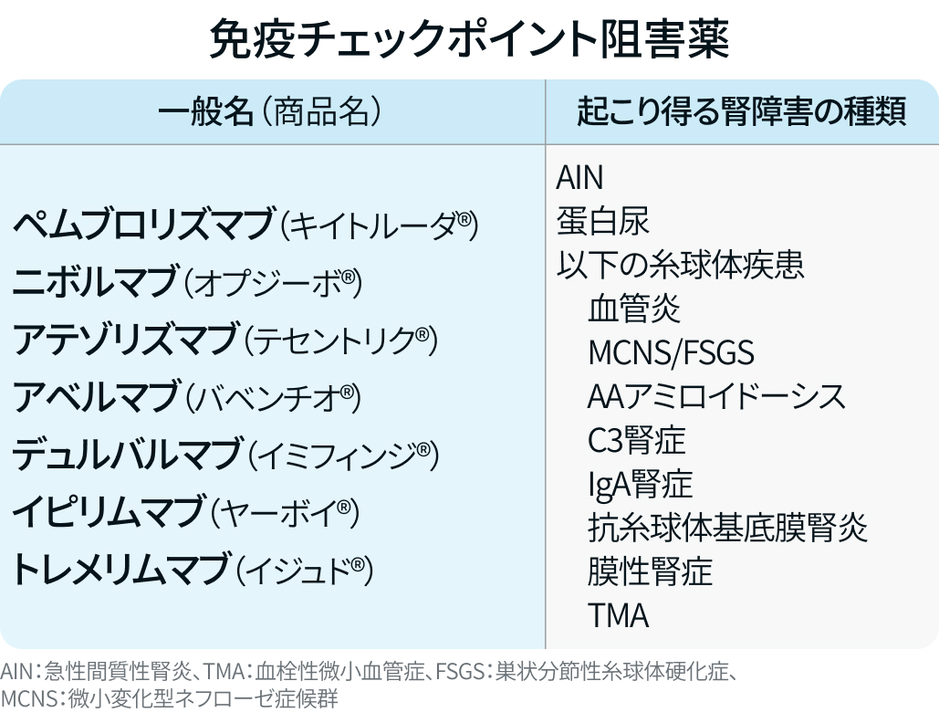 【新連載】腎機能障害の種類と関連抗がん薬一覧