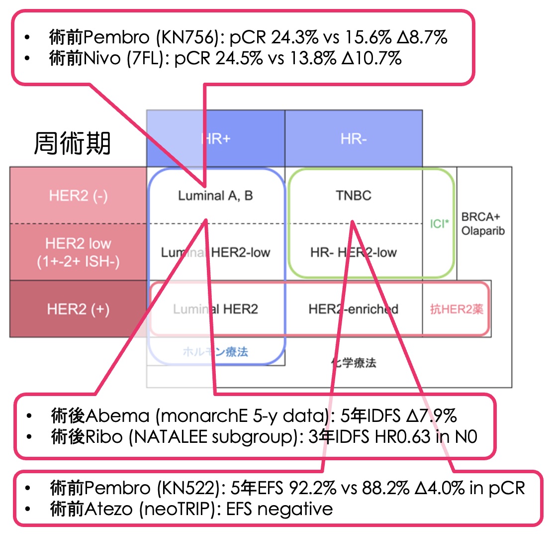 【専門医寄稿】ESMO 2023　乳癌の重要演題総まとめ！