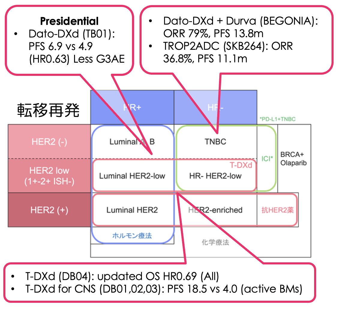 【専門医寄稿】ESMO 2023　乳癌の重要演題総まとめ！