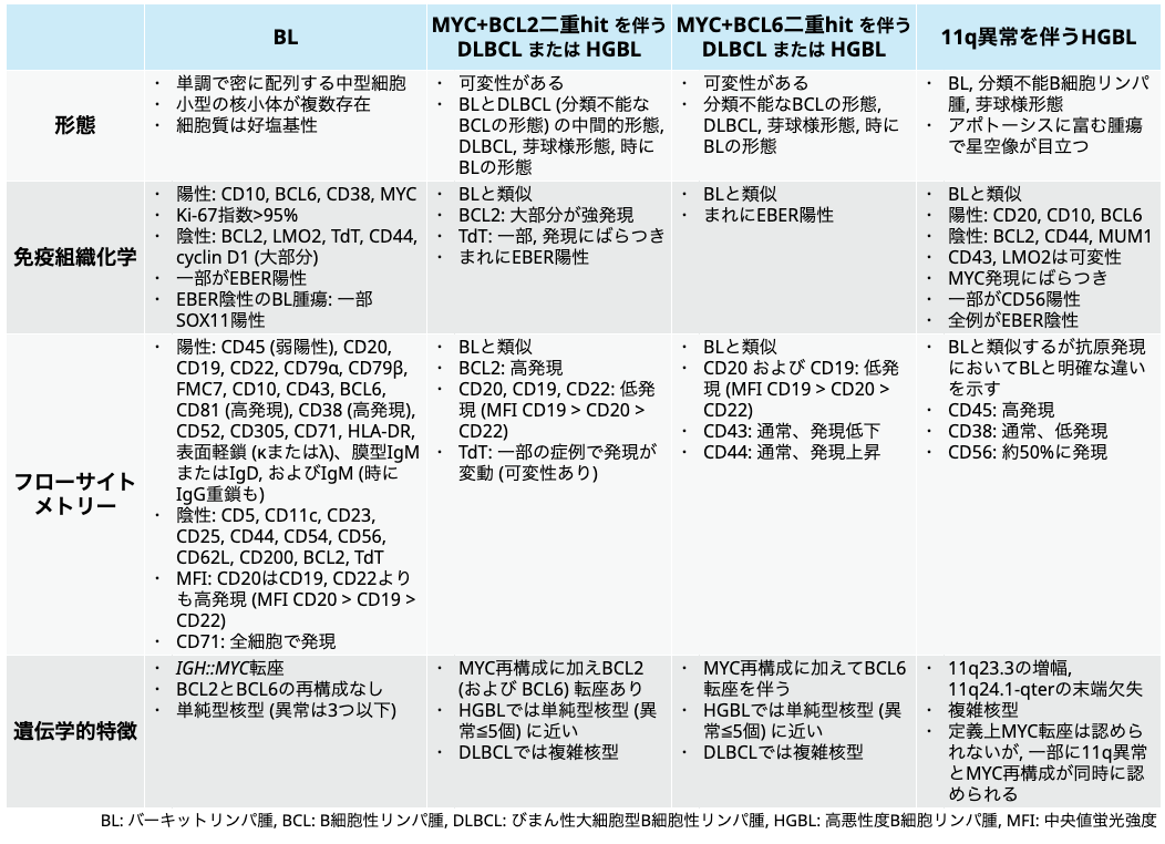 【必修】バーキットリンパ腫の診断と治療戦略