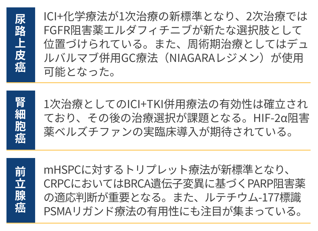 【まとめ】泌尿器癌薬物療法アップデート2024–2025