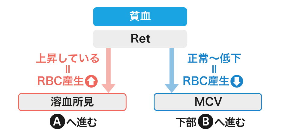 【もう迷わない！】貧血マネジメント④「小球性貧血の鑑別」(聖路加藤野先生)