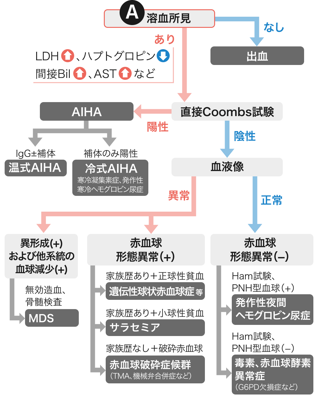 【人気連載】貧血マネジメントまとめ (聖路加国際病院 藤野先生)