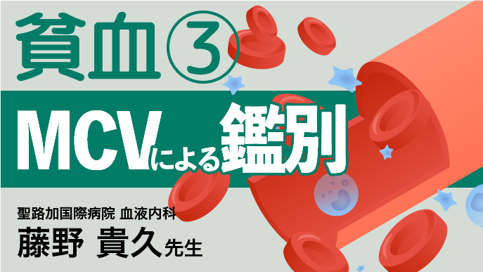【もう迷わない！】貧血マネジメント③「MCVによる鑑別総論」(聖路加藤野先生)