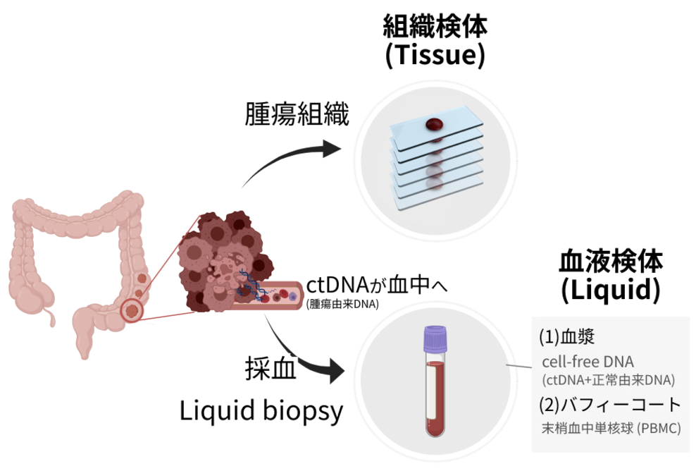 【新連載】 ｢がん遺伝子パネル検査の基礎知識｣  (随時更新中)