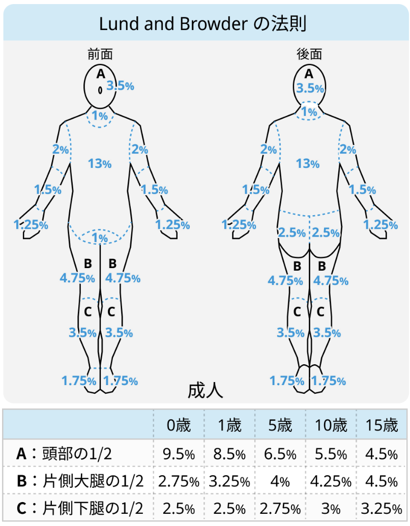 アトピー性皮膚炎の重症度分類と治療評価 (大塚篤司氏)