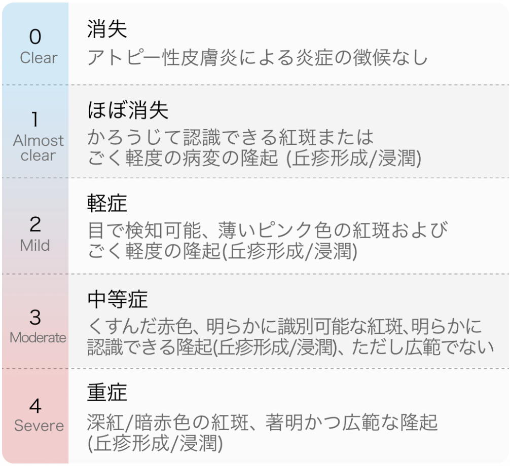 アトピー性皮膚炎の重症度分類と治療評価 (大塚篤司氏)