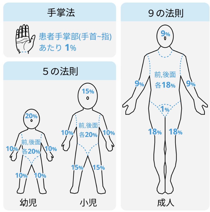 アトピー性皮膚炎の重症度分類と治療評価 (大塚篤司氏)