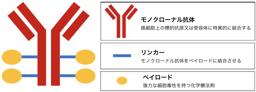 開発が進むADC､ 新ステージに進む肺癌治療を展望