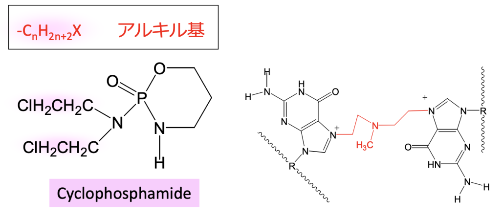 【JSMO教育セミナー】殺細胞性抗がん剤の種類 (藤原豊)