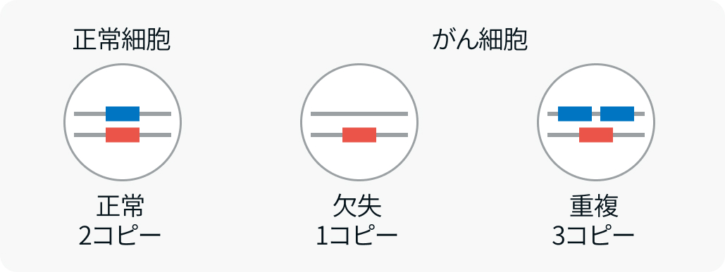 【新連載第1回】がん遺伝子パネル検査で分かる変異情報