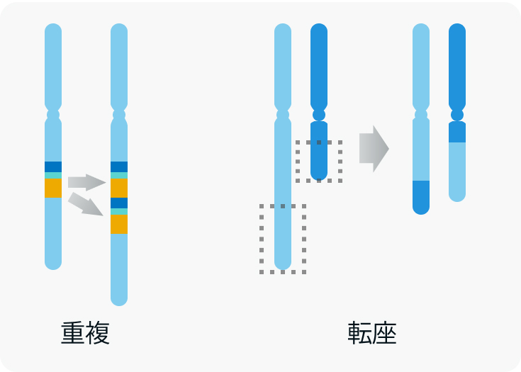 【新連載第1回】がん遺伝子パネル検査で分かる変異情報