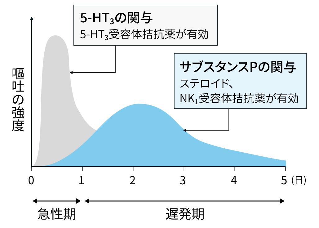 【制吐薬】NK₁受容体拮抗薬の使い分け！国立がん研究センター薬剤師の解説