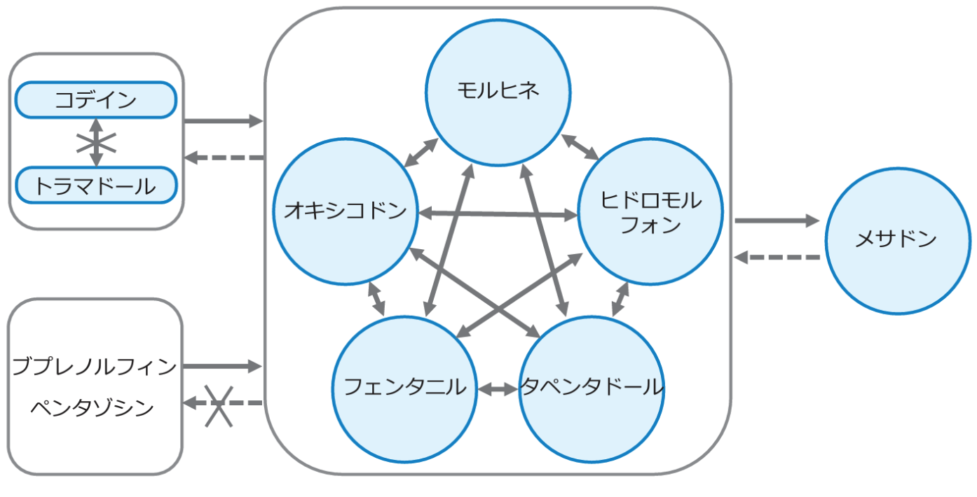 【人気連載】よく分かる！医療用麻薬まとめ