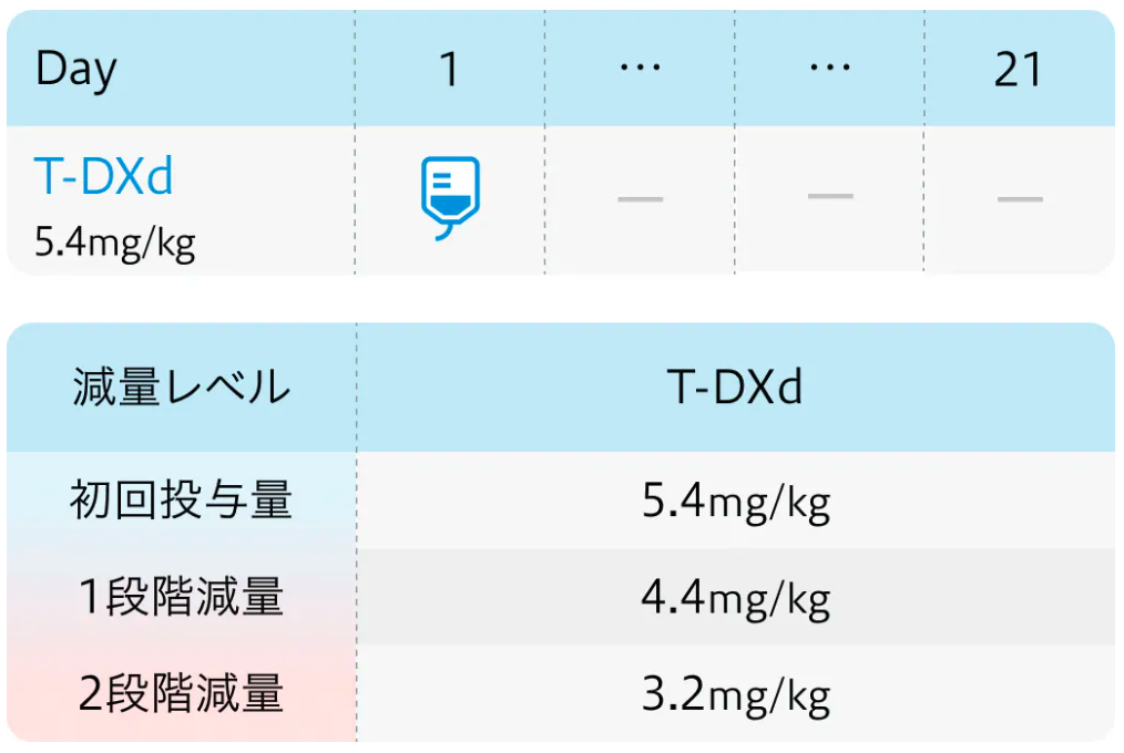 【注目キーワード】肺癌領域初の抗体薬物複合体 ｢T-DXd｣ 