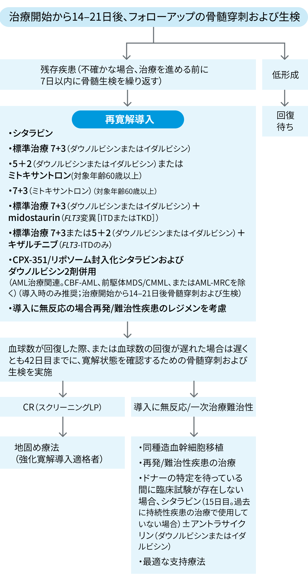 【NCCNガイドライン】急性骨髄性白血病 2025 Ver 1.0