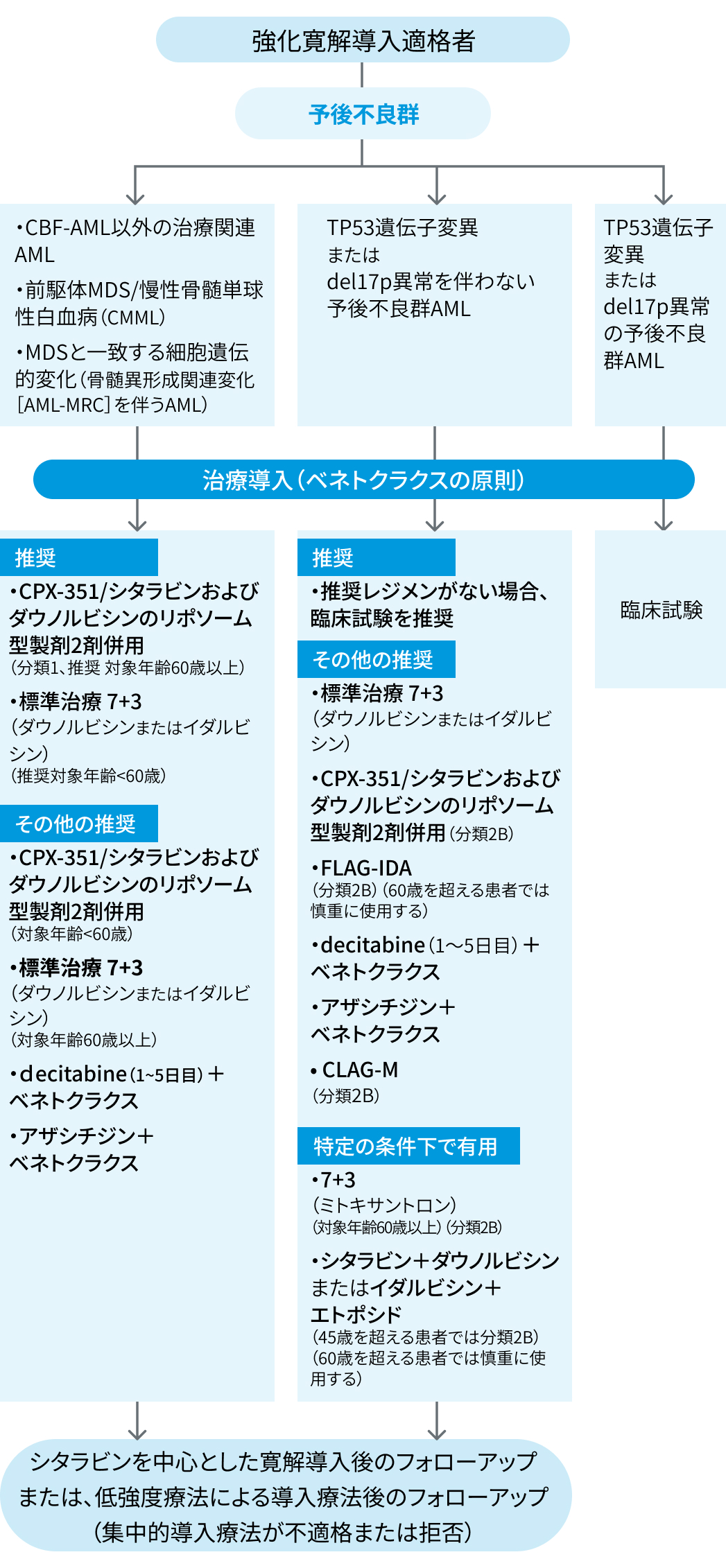 【NCCNガイドライン】急性骨髄性白血病 2025 Ver 1.0
