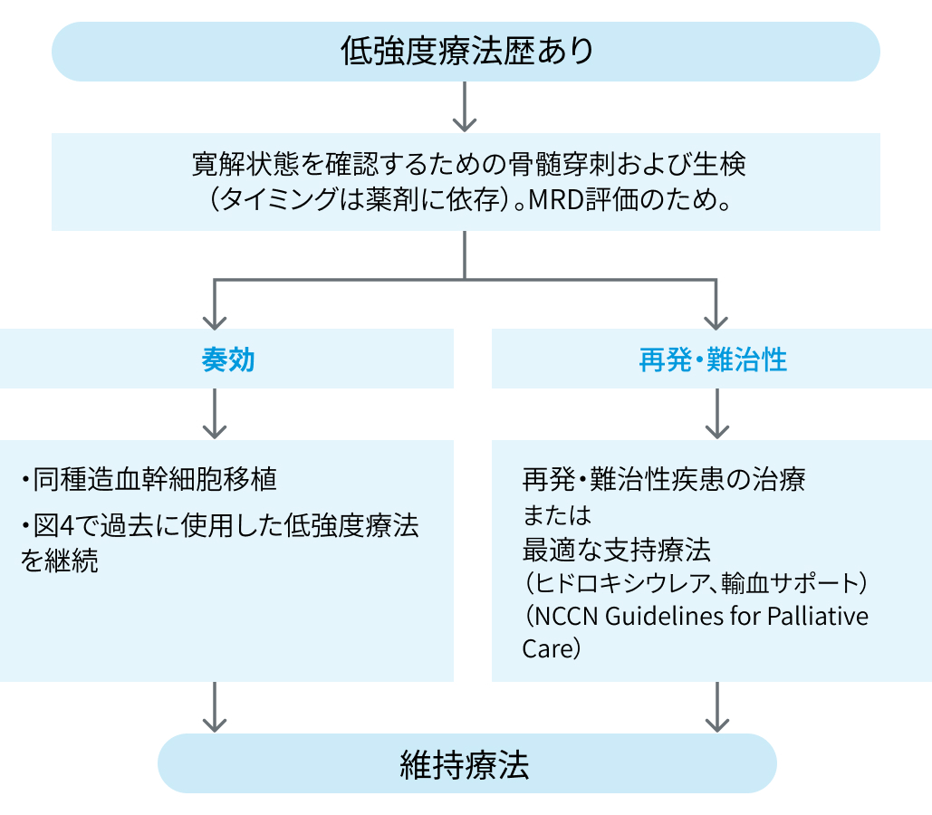 【NCCNガイドライン】急性骨髄性白血病 2025 Ver 1.0