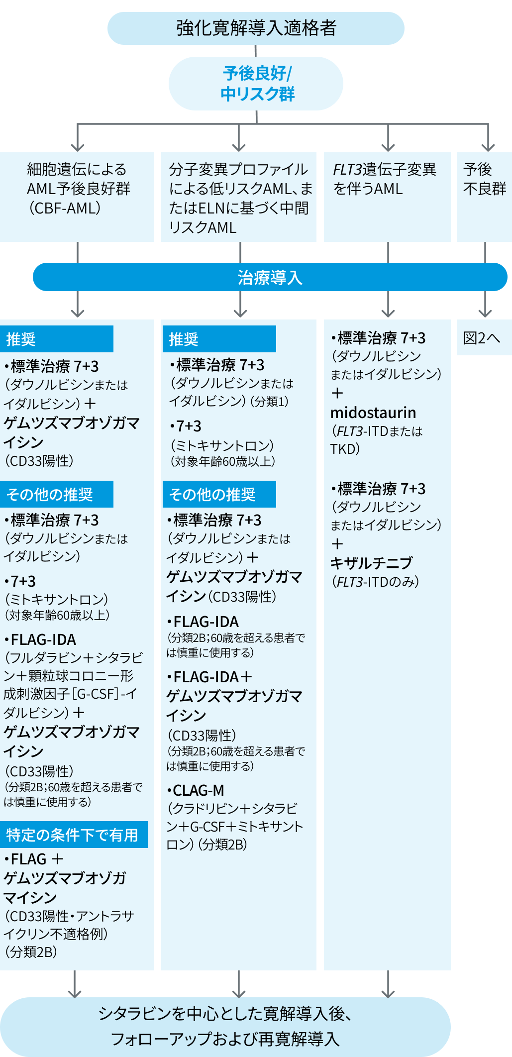 【NCCNガイドライン】急性骨髄性白血病 2025 Ver 1.0