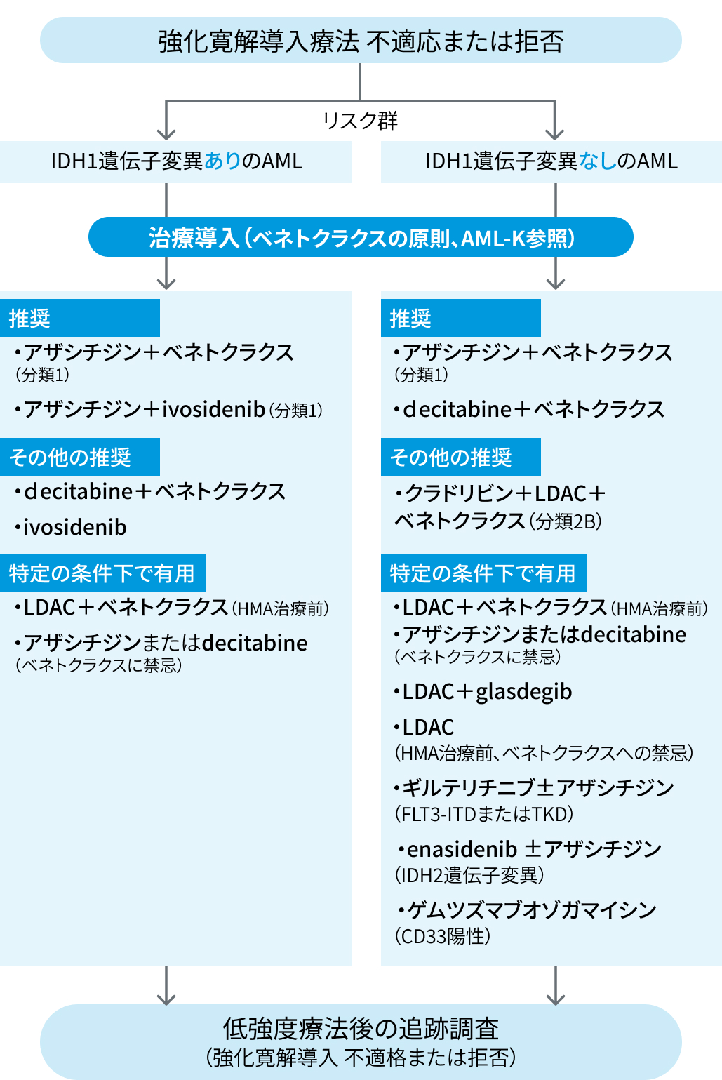 【NCCNガイドライン】急性骨髄性白血病 2025 Ver 1.0