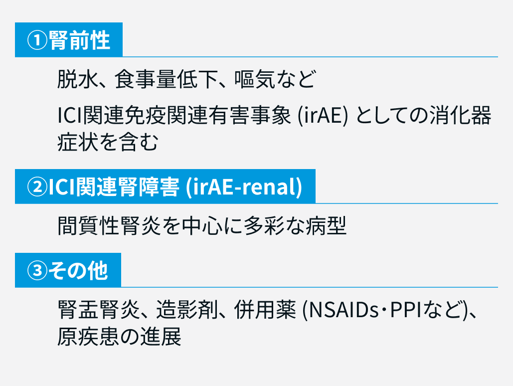 【腎障害】ICI投与後のCr上昇､ ｢腎腫大｣ をどう読む？