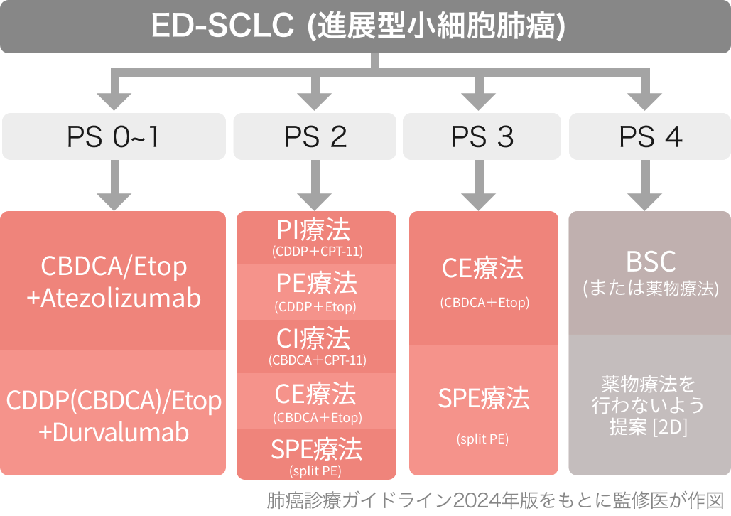 肺癌診療ガイドライン2024年版､ 8つの主な改訂点