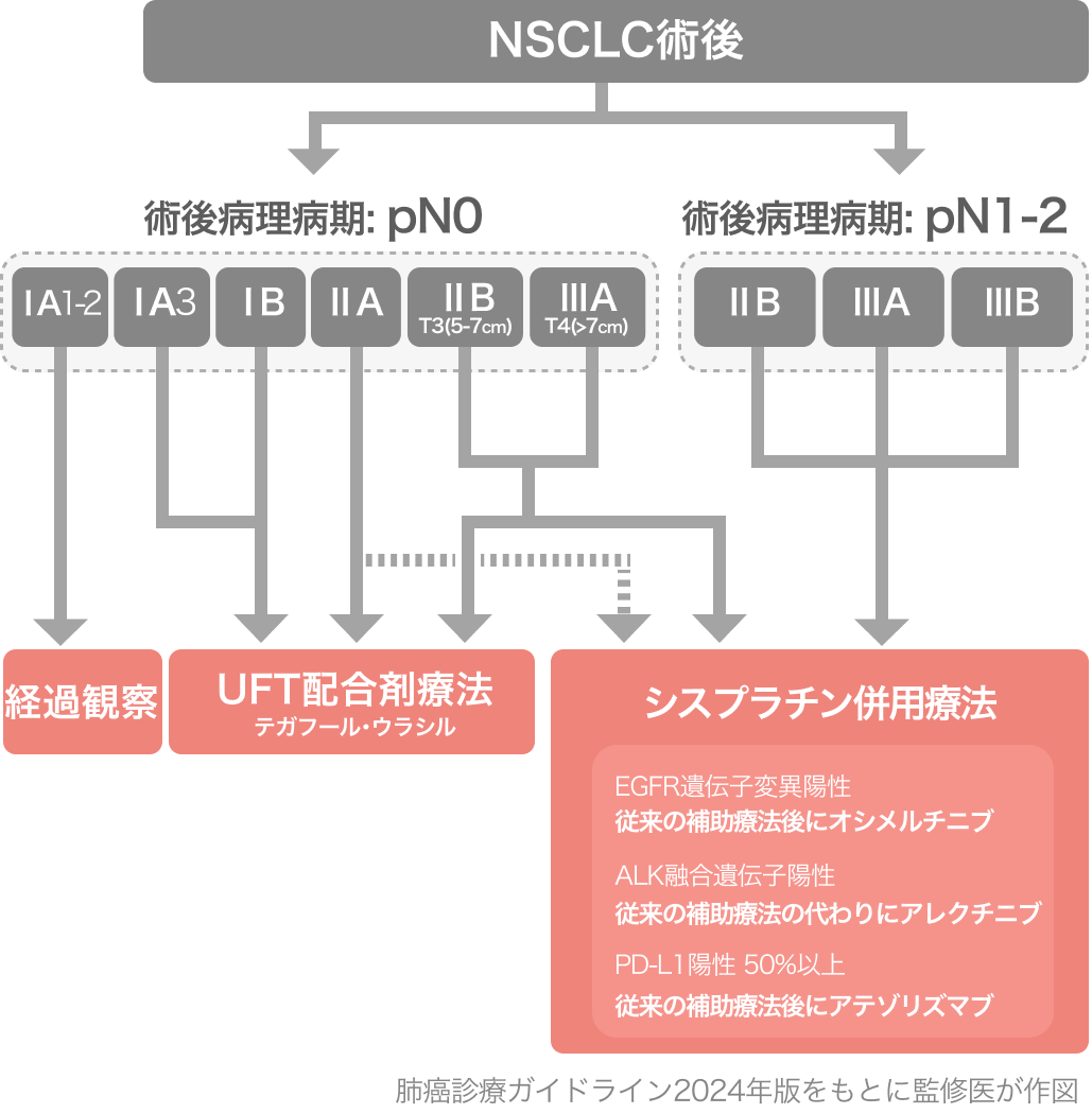 肺癌診療ガイドライン2024年版､ 8つの主な改訂点