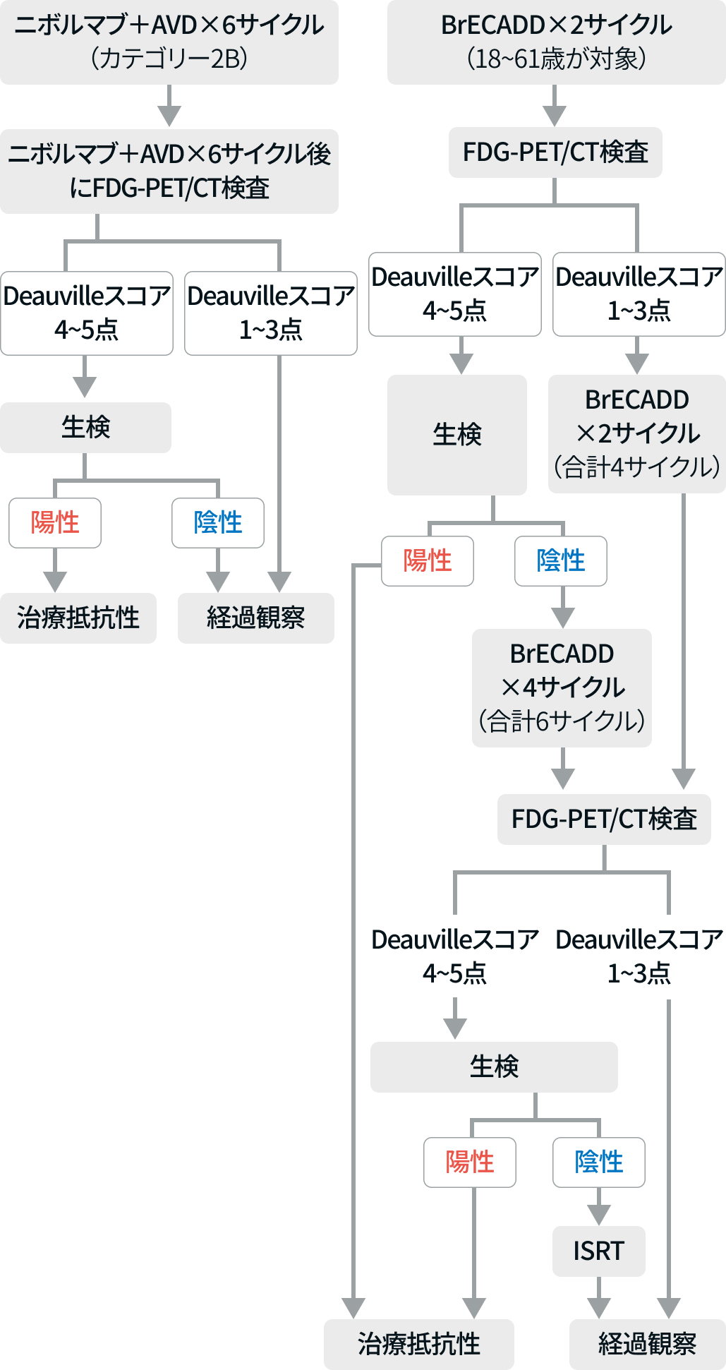 【一挙紹介】悪性リンパ腫に関する治療アルゴリズムまとめ